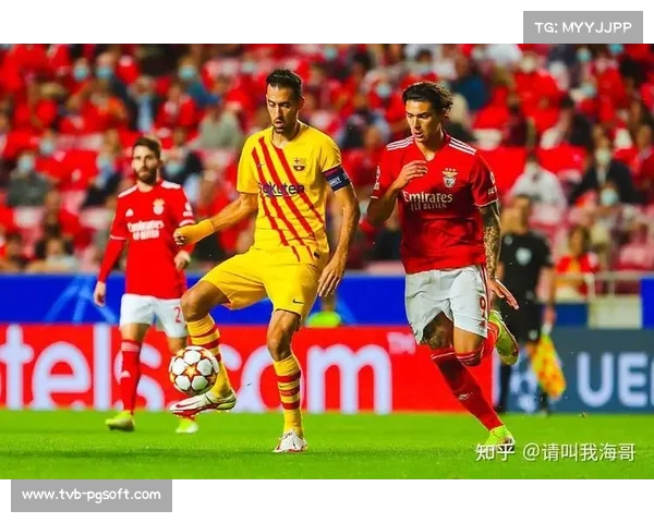 德甲版权全新归属球竞与新球体育 实现全场次直播覆盖